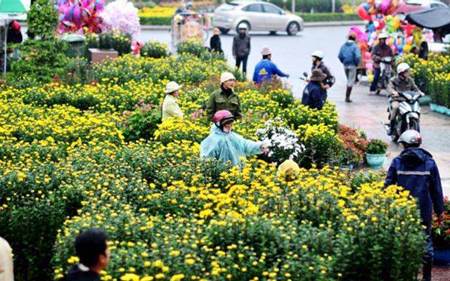 Khu vực cây xanh và ghế đá nghỉ ngơi tại vườn hoa Hà Đông